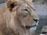20091102_03.jpg 20091102_03.jpg