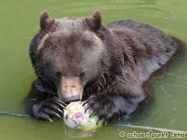 20100411.jpg