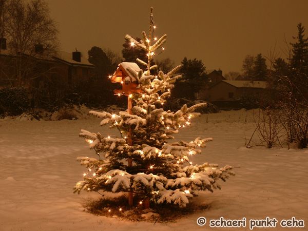 20101201.jpg